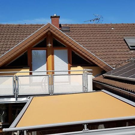 Appartment Sonnenblick Dielheim المظهر الخارجي الصورة