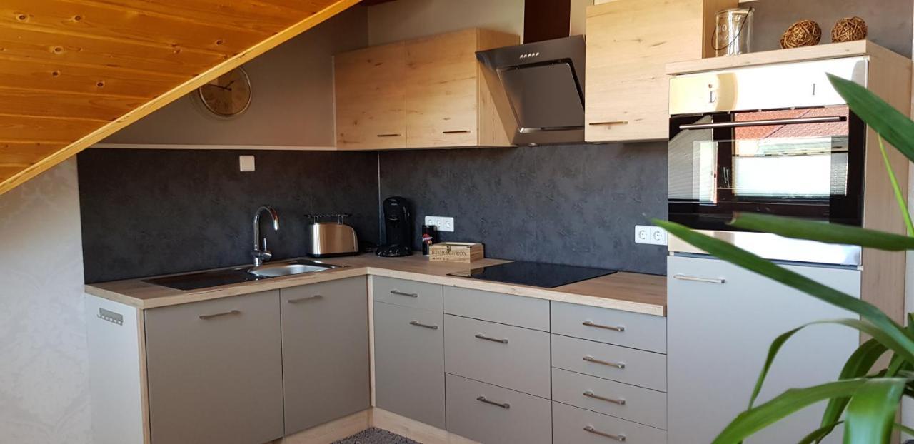 Appartment Sonnenblick Dielheim المظهر الخارجي الصورة