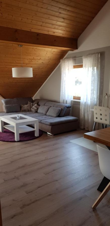 Appartment Sonnenblick Dielheim المظهر الخارجي الصورة