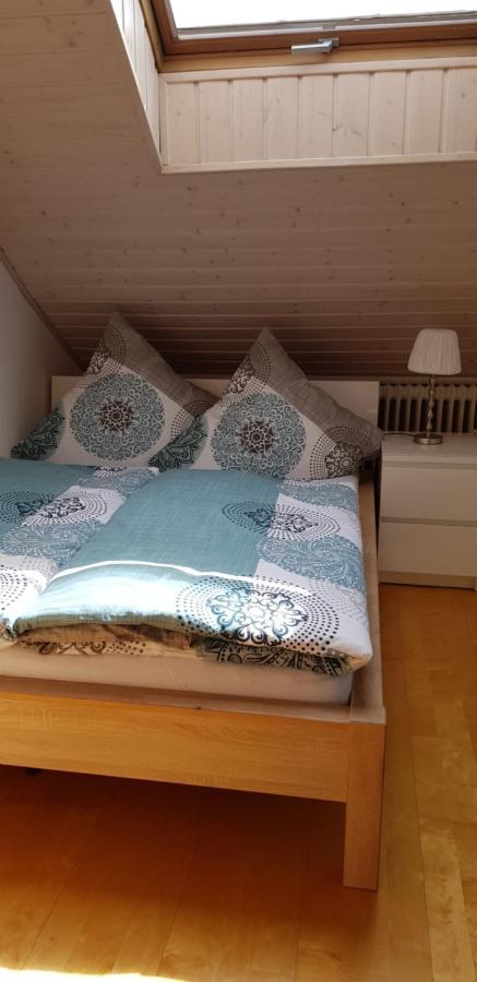 Appartment Sonnenblick Dielheim المظهر الخارجي الصورة